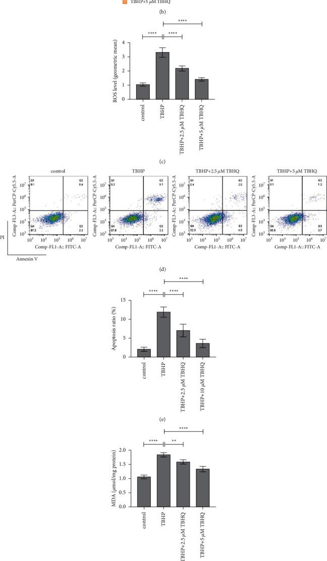 https://cdn.ncbi.nlm.nih.gov/pmc/blobs/d820/8674040/ad3c0666b1bc/ECAM2021-1905995.001.jpg