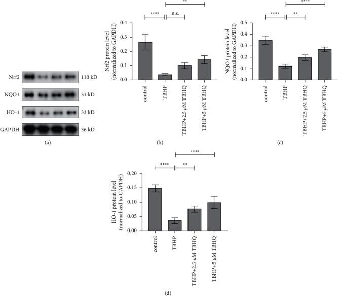 https://cdn.ncbi.nlm.nih.gov/pmc/blobs/d820/8674040/de45b2849b9f/ECAM2021-1905995.005.jpg