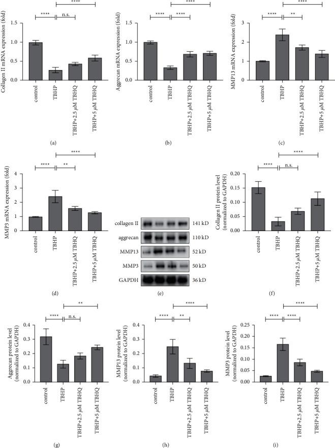 https://cdn.ncbi.nlm.nih.gov/pmc/blobs/d820/8674040/ef4305d929e8/ECAM2021-1905995.004.jpg