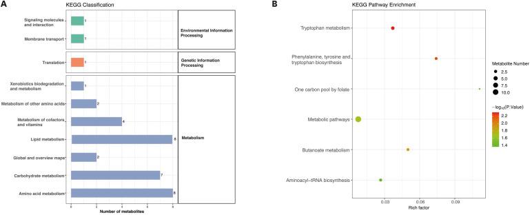 https://cdn.ncbi.nlm.nih.gov/pmc/blobs/d821/11439978/a5417af209fc/ad-36-300-g004.jpg