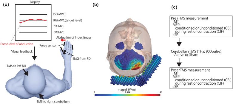 https://cdn.ncbi.nlm.nih.gov/pmc/blobs/d821/11530076/260aff388db4/pone.0310173.g001.jpg
