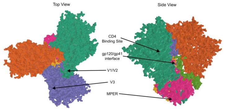 https://cdn.ncbi.nlm.nih.gov/pmc/blobs/d821/9861436/25d09b0202db/viruses-15-00107-g003.jpg