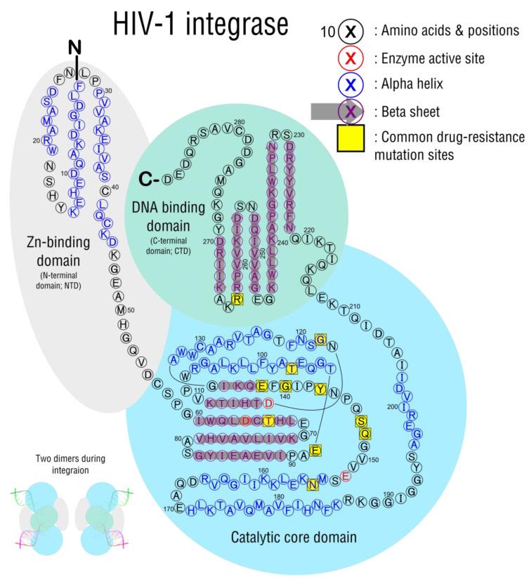 https://cdn.ncbi.nlm.nih.gov/pmc/blobs/d821/9861436/5616bf6d3407/viruses-15-00107-g009.jpg