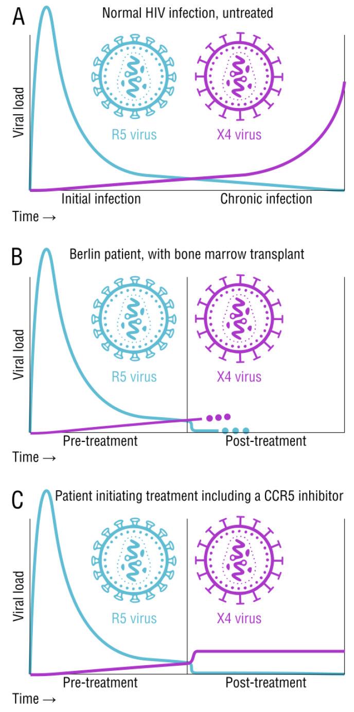 https://cdn.ncbi.nlm.nih.gov/pmc/blobs/d821/9861436/f47db4a2926b/viruses-15-00107-g002.jpg
