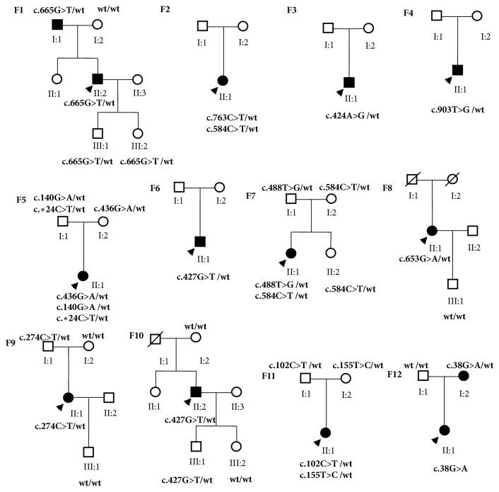 https://cdn.ncbi.nlm.nih.gov/pmc/blobs/d823/6220750/263e6e6bc786/BMRI2018-4582816.001.jpg