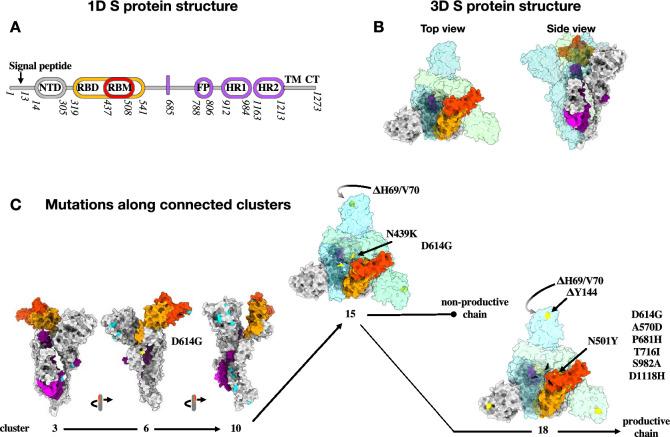 https://cdn.ncbi.nlm.nih.gov/pmc/blobs/d823/9166699/6d0696742183/41598_2022_12442_Fig4_HTML.jpg