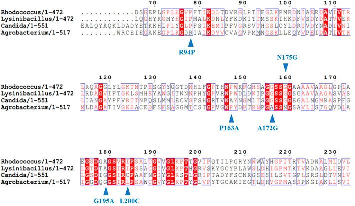 https://cdn.ncbi.nlm.nih.gov/pmc/blobs/d823/9902596/086f6bfec484/fbioe-11-1129149-g001.jpg