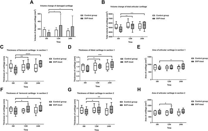 https://cdn.ncbi.nlm.nih.gov/pmc/blobs/d825/9892457/8ae11bc0c2d9/fcell-11-1106279-g005.jpg