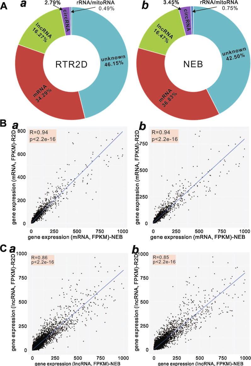 https://cdn.ncbi.nlm.nih.gov/pmc/blobs/d828/7195496/cefe8c5ba901/gr7.jpg