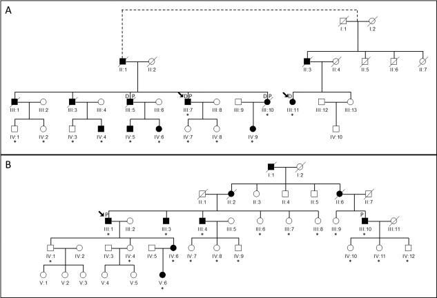 https://cdn.ncbi.nlm.nih.gov/pmc/blobs/d829/5008165/f492602f1231/ANA-78-21-g001.jpg