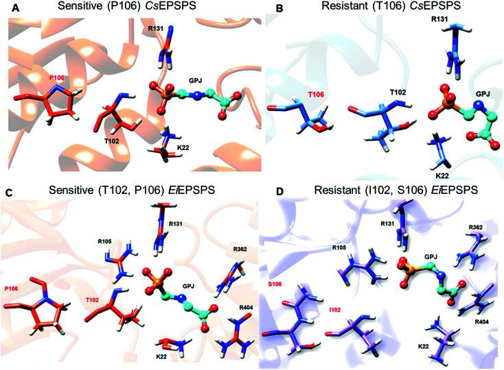https://cdn.ncbi.nlm.nih.gov/pmc/blobs/d82b/9058485/3c8d15416f1b/d0ra09061a-f4.jpg