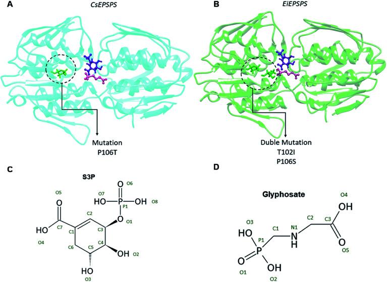 https://cdn.ncbi.nlm.nih.gov/pmc/blobs/d82b/9058485/52f1968034cd/d0ra09061a-f1.jpg