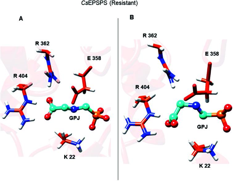 https://cdn.ncbi.nlm.nih.gov/pmc/blobs/d82b/9058485/66faaabdaf23/d0ra09061a-f6.jpg