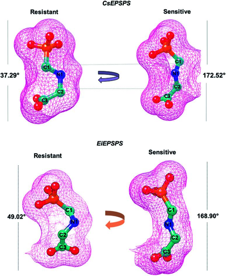 https://cdn.ncbi.nlm.nih.gov/pmc/blobs/d82b/9058485/791aca6f4960/d0ra09061a-f3.jpg