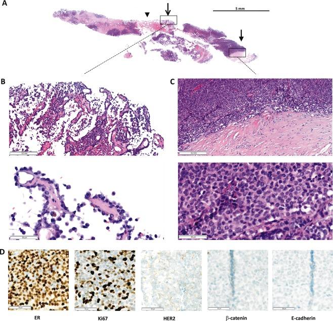 https://cdn.ncbi.nlm.nih.gov/pmc/blobs/d82c/5527319/a297c6bd3317/CJP2-3-191-g002.jpg