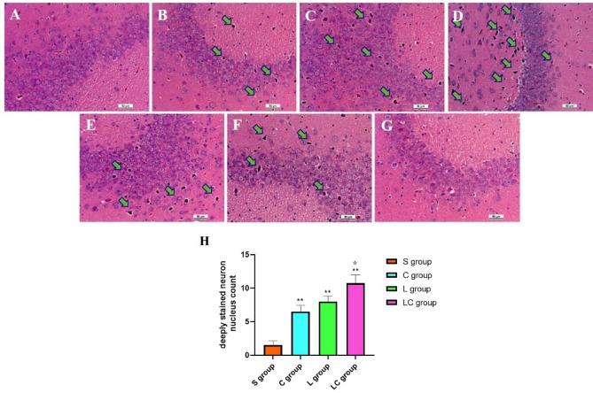 https://cdn.ncbi.nlm.nih.gov/pmc/blobs/d82c/8115682/b0dda82e8cbb/41598_2021_89348_Fig3_HTML.jpg