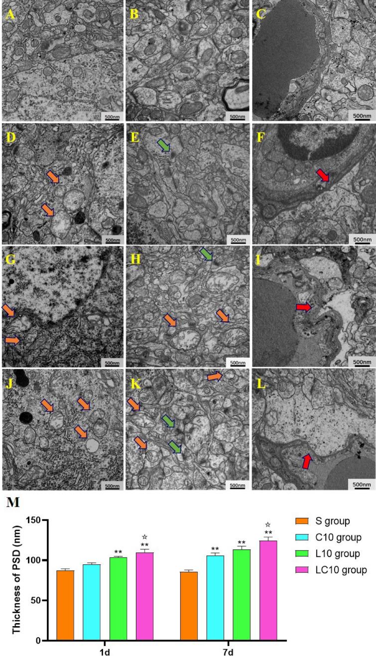 https://cdn.ncbi.nlm.nih.gov/pmc/blobs/d82c/8115682/d8b970465119/41598_2021_89348_Fig4_HTML.jpg