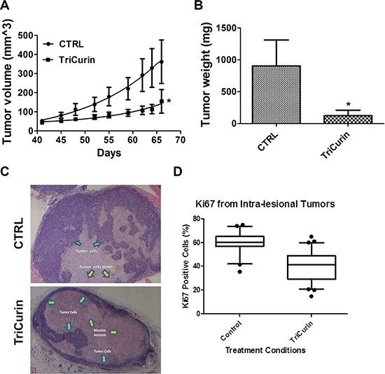 https://cdn.ncbi.nlm.nih.gov/pmc/blobs/d82e/5601119/7fca5517884b/oncotarget-08-60025-g003.jpg