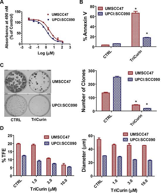 https://cdn.ncbi.nlm.nih.gov/pmc/blobs/d82e/5601119/e5f93c50971f/oncotarget-08-60025-g001.jpg