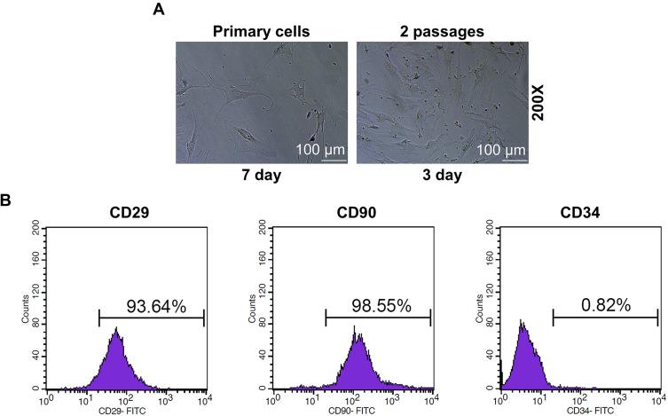 https://cdn.ncbi.nlm.nih.gov/pmc/blobs/d82e/7733036/3b3945cb5707/DDDT-14-5419-g0002.jpg