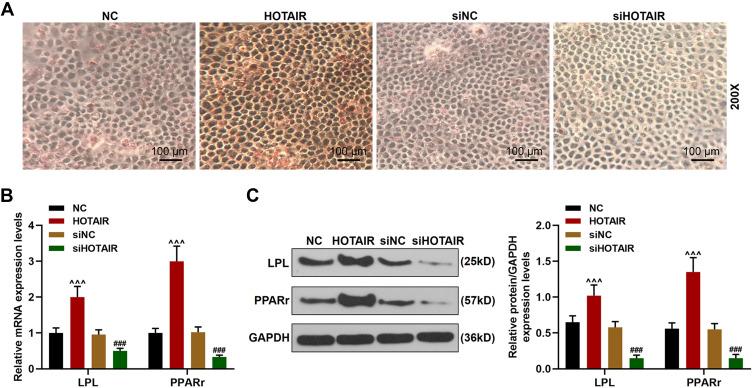 https://cdn.ncbi.nlm.nih.gov/pmc/blobs/d82e/7733036/73f25b2b4244/DDDT-14-5419-g0005.jpg