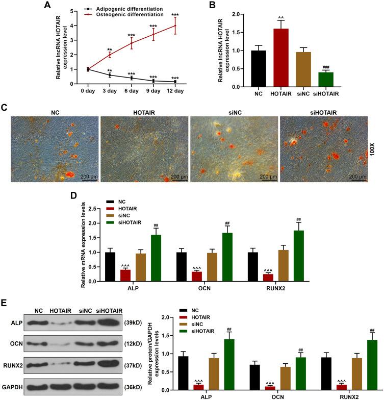 https://cdn.ncbi.nlm.nih.gov/pmc/blobs/d82e/7733036/787e00fe2750/DDDT-14-5419-g0004.jpg