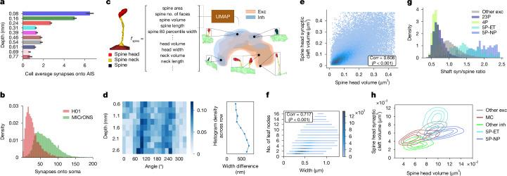 https://cdn.ncbi.nlm.nih.gov/pmc/blobs/d830/11981913/7e0398fa7843/41586_2025_8660_Fig4_HTML.jpg