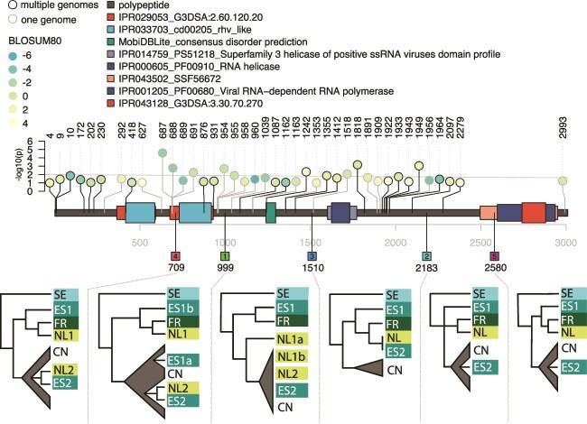 https://cdn.ncbi.nlm.nih.gov/pmc/blobs/d830/12315680/22293ca55f68/veaf051f4.jpg