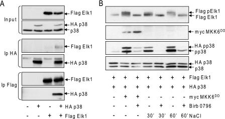 https://cdn.ncbi.nlm.nih.gov/pmc/blobs/d831/2951253/9c132047ef69/zbc0441034190005.jpg