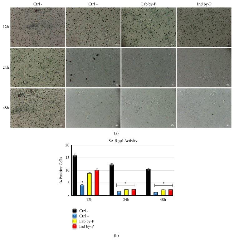 https://cdn.ncbi.nlm.nih.gov/pmc/blobs/d831/6594338/61546bc5a844/BMRI2019-5641034.005.jpg