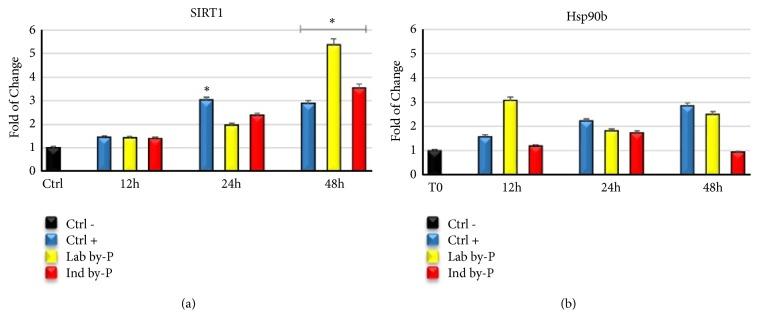 https://cdn.ncbi.nlm.nih.gov/pmc/blobs/d831/6594338/fa1240997d6c/BMRI2019-5641034.004.jpg