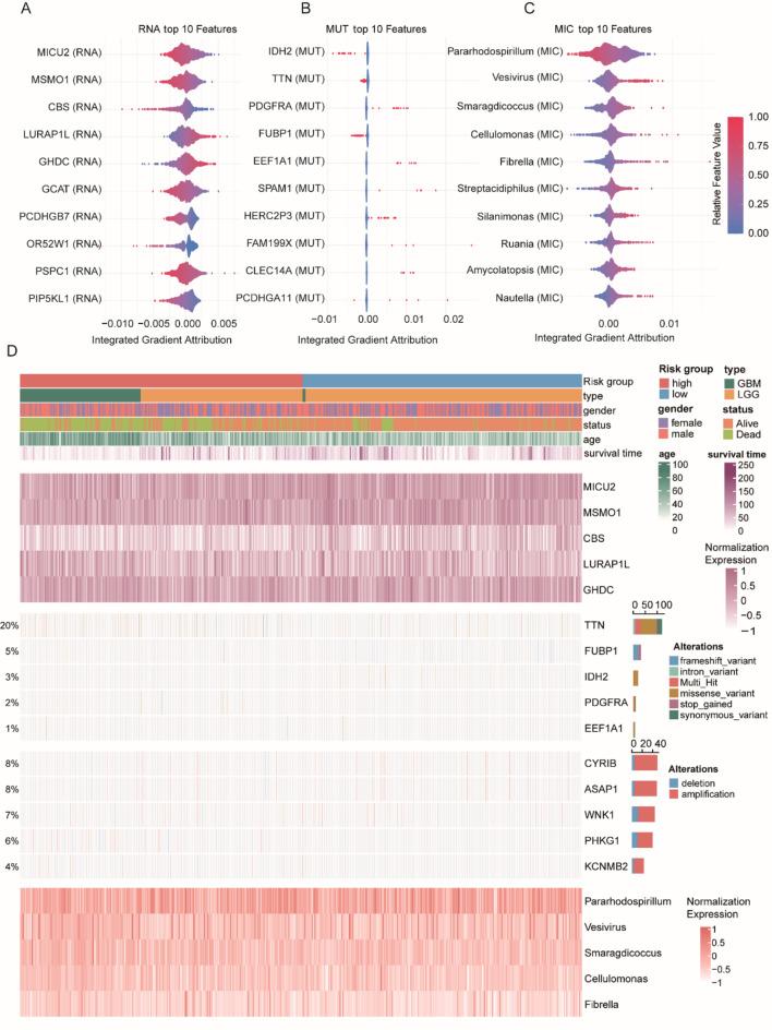 https://cdn.ncbi.nlm.nih.gov/pmc/blobs/d834/12022115/b546fe7a3f60/41598_2025_98565_Fig7_HTML.jpg