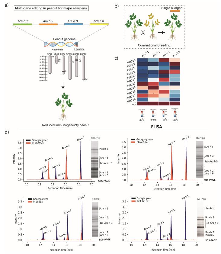 https://cdn.ncbi.nlm.nih.gov/pmc/blobs/d836/11858956/85e30bb3647c/plants-14-00626-g001.jpg