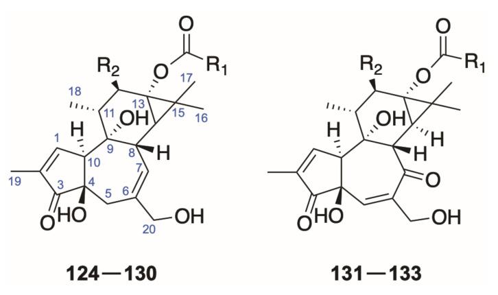 https://cdn.ncbi.nlm.nih.gov/pmc/blobs/d838/8588408/51e9652843fe/molecules-26-06598-g008.jpg