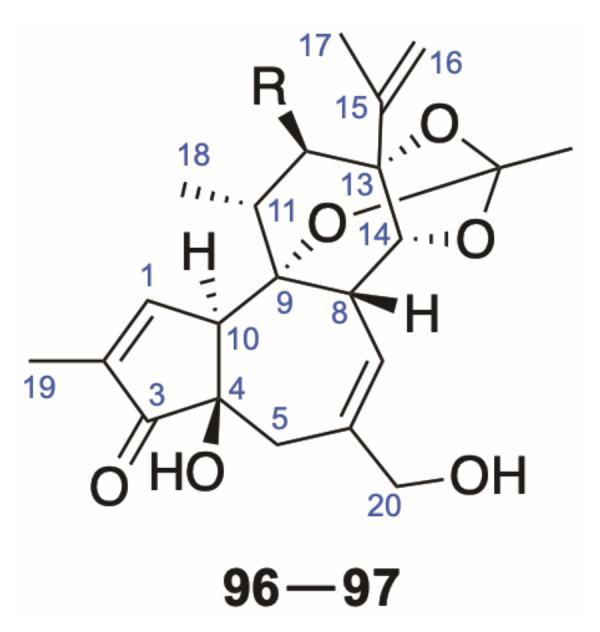 https://cdn.ncbi.nlm.nih.gov/pmc/blobs/d838/8588408/a9d604de4a5c/molecules-26-06598-g005.jpg