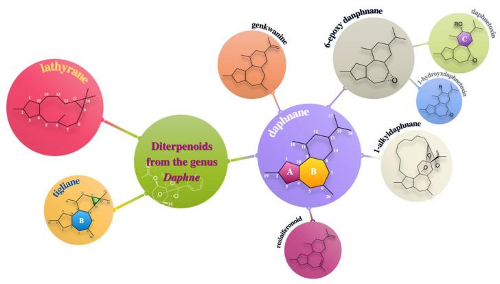 https://cdn.ncbi.nlm.nih.gov/pmc/blobs/d838/8588408/e7445fcfd020/molecules-26-06598-g001.jpg