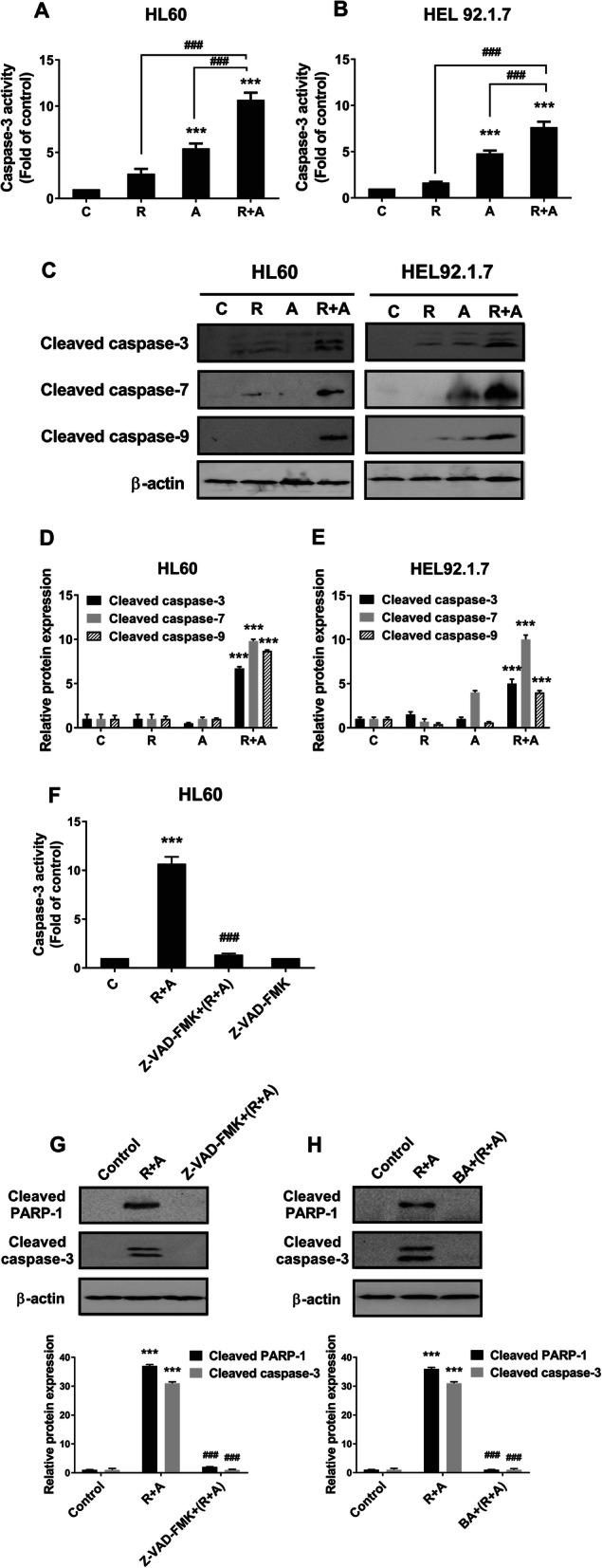https://cdn.ncbi.nlm.nih.gov/pmc/blobs/d83a/7718665/36c1801269ff/12885_2020_7701_Fig4_HTML.jpg