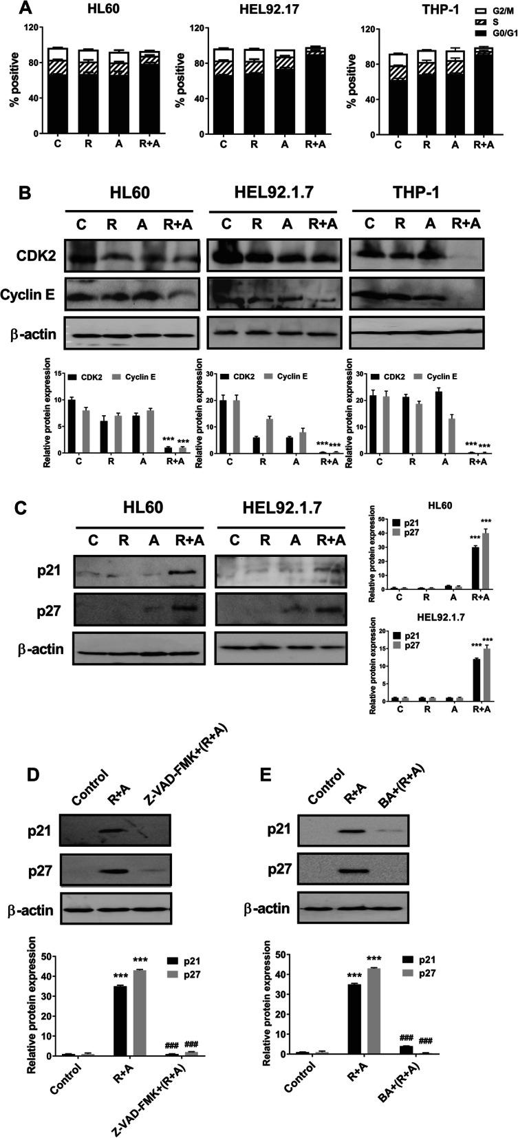 https://cdn.ncbi.nlm.nih.gov/pmc/blobs/d83a/7718665/6392a34aa330/12885_2020_7701_Fig5_HTML.jpg