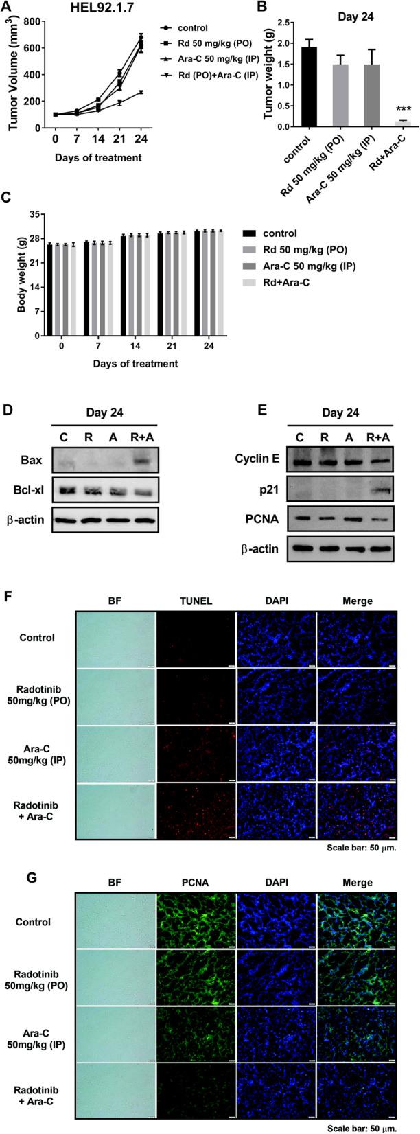 https://cdn.ncbi.nlm.nih.gov/pmc/blobs/d83a/7718665/c02ed2f4e3cd/12885_2020_7701_Fig6_HTML.jpg