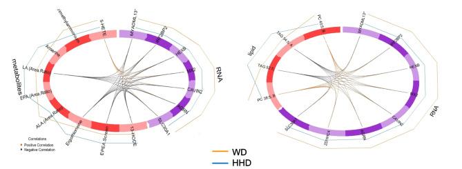 https://cdn.ncbi.nlm.nih.gov/pmc/blobs/d83d/11604918/733f2dddc7d6/41598_2024_81321_Fig6_HTML.jpg