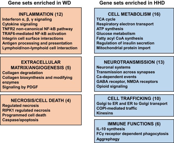 https://cdn.ncbi.nlm.nih.gov/pmc/blobs/d83d/11604918/a221bf3f72ae/41598_2024_81321_Fig1_HTML.jpg