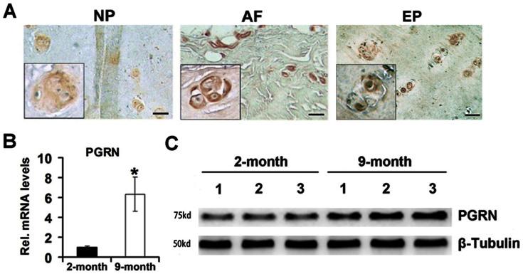 https://cdn.ncbi.nlm.nih.gov/pmc/blobs/d83d/4894449/96c7d7998ed4/srep09102-f1.jpg
