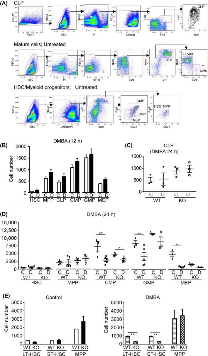 https://cdn.ncbi.nlm.nih.gov/pmc/blobs/d840/5242170/bef0b107c20c/PRP2-4-0245-g006.jpg
