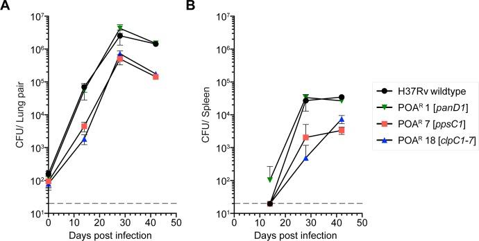 https://cdn.ncbi.nlm.nih.gov/pmc/blobs/d840/5514395/400a6d1aa421/id-2017-00017r_0001.jpg
