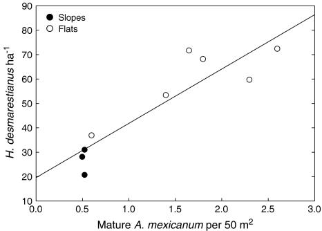 https://cdn.ncbi.nlm.nih.gov/pmc/blobs/d841/2841266/ae2a0ce58efb/442_2009_1542_Fig2_HTML.jpg