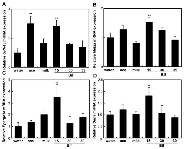 https://cdn.ncbi.nlm.nih.gov/pmc/blobs/d843/11432277/3bca80f40c00/ijms-25-09934-g005.jpg