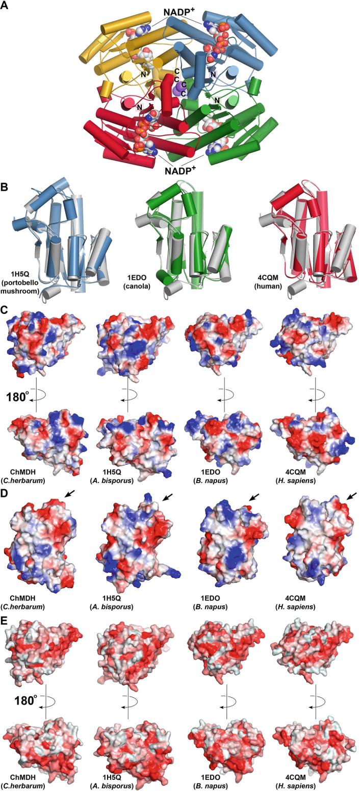 https://cdn.ncbi.nlm.nih.gov/pmc/blobs/d844/9489553/73a5e4b35354/11248_2022_316_Fig3_HTML.jpg
