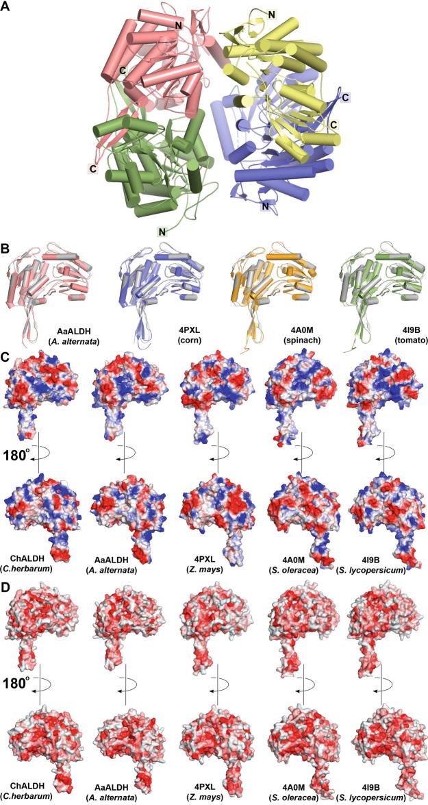https://cdn.ncbi.nlm.nih.gov/pmc/blobs/d844/9489553/8190a0b80301/11248_2022_316_Fig2_HTML.jpg