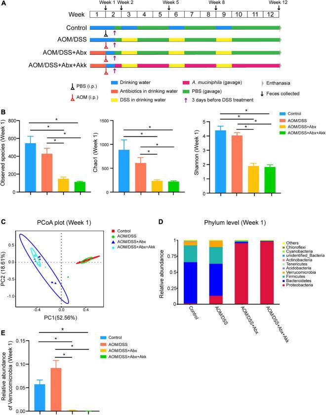 https://cdn.ncbi.nlm.nih.gov/pmc/blobs/d844/9614165/834ecaaf1a69/fmicb-13-932047-g001.jpg