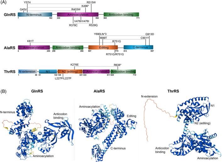 https://cdn.ncbi.nlm.nih.gov/pmc/blobs/d845/11611227/72b4e0df7076/IUB-77-0-g002.jpg